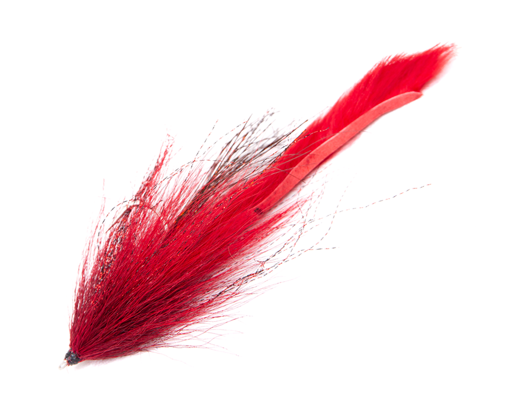 CHACHA Bait Jr Trailer Hot RED